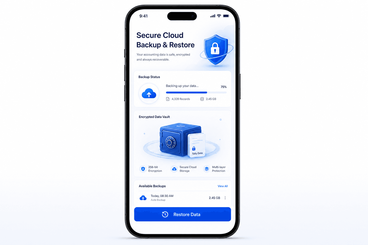 Secure cloud backup and restore for Tally financial data